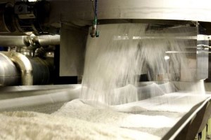 В 2022 году сменятся стандарты производства украинского сахара